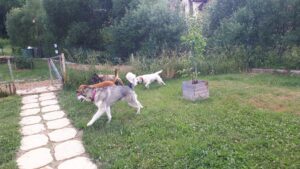 20190628_174240